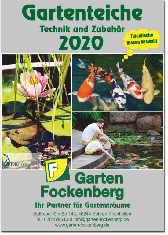 Online Kataloge 2020 Garten Fockenberg